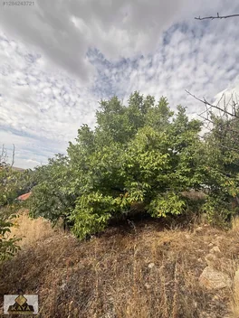 Çığlık Yaylasında 2 Adet Tarla 1.814.40 Metrekare Yolu Mevcut — fotoğraf 11